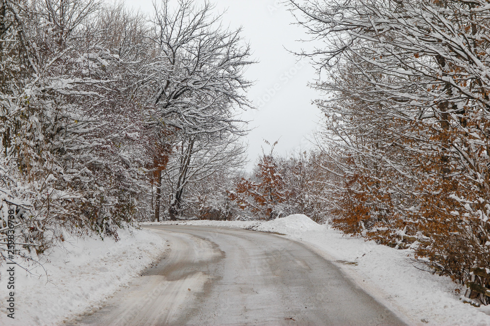 Road through forest with trees covered with snow Road through forest with trees covered with snow