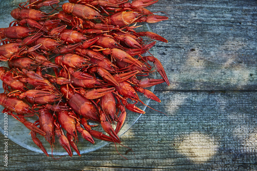 Crawfish cooked and served on wooden background