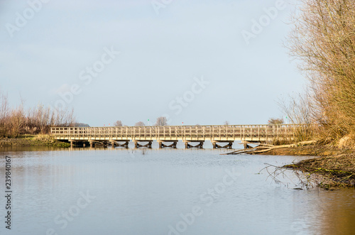 Side view of on of the wooden pedestrian bridges as part of a hiking trail through the Ossenwaard nature reserve near Deventer, the Netherlands photo