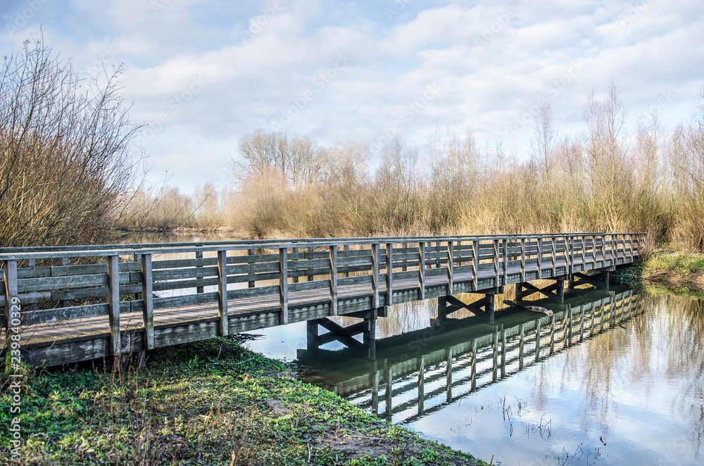 Wooden pedestrian bridge as part of a hiking trail through the Ossenwaard nature reserve near Deventer, the Netherlands, reflecting in the calm water of a new channel of the river IJssel. Wooden pedestrian bridge as part of a hiking trail through the Ossenwaard nature reserve near Deventer, the Netherlands, reflecting in the calm water of a new channel of the river IJssel.