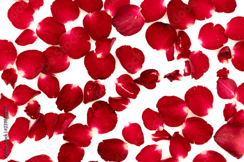 Rose petals arranged in a pattern on a white background.