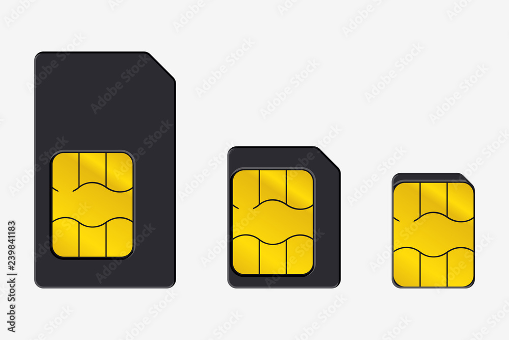 Set of SIM Cards of Different Sizes. Realistic Vector Icon. Isolated Obgect on Background