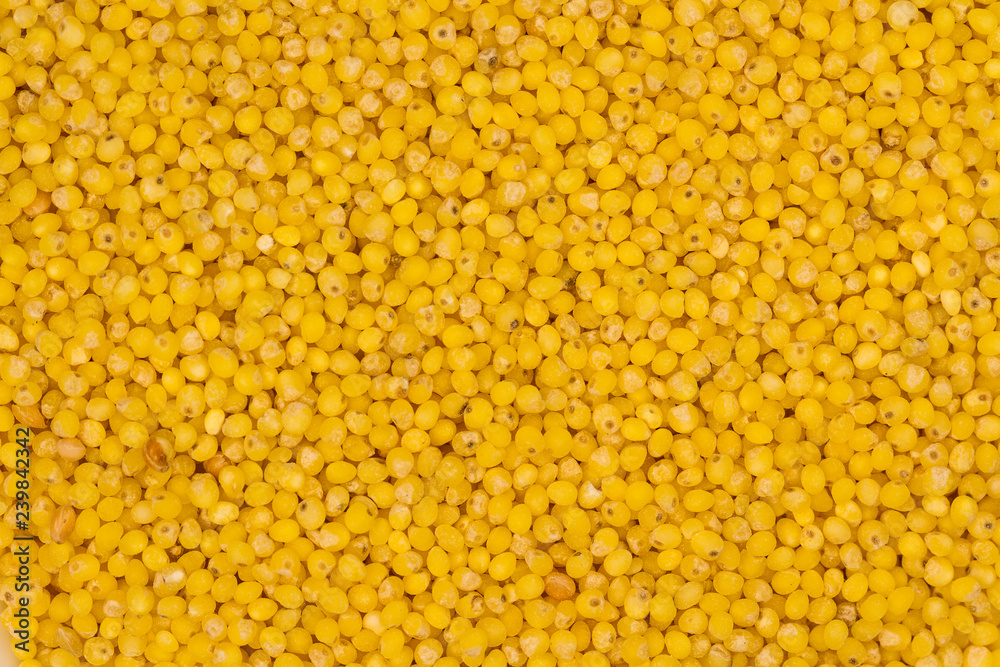 Yellow millet background