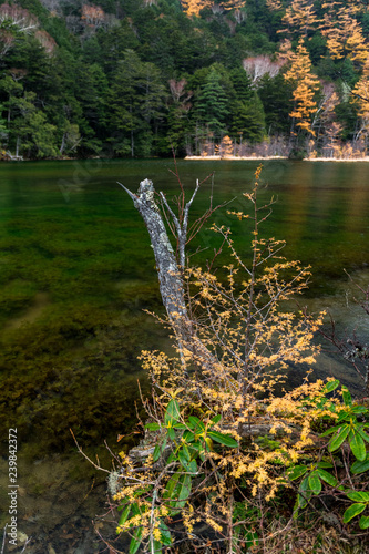 Myojin Pond in Kamikochi in Autumn, Japanese Alps, Chubu Sangaku National Park photo