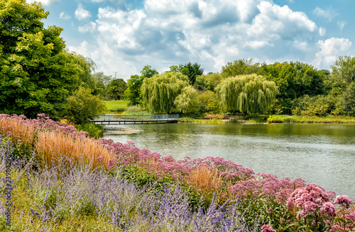 Summer landscape of Chicago Botanic Garden, Glencoe, Illinois, USA photo