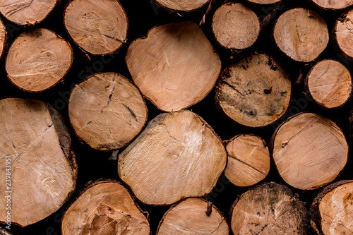 Bellagio Como  Italy - cut wooden logs