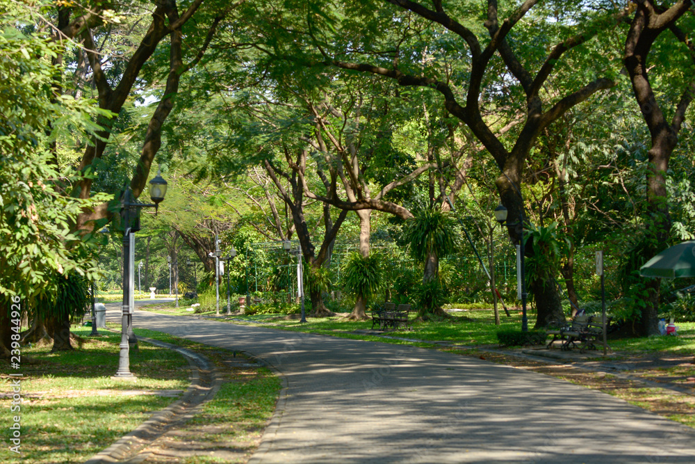 Obraz premium Public park in the city.