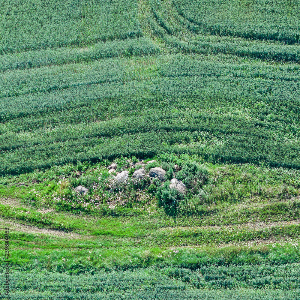 aerial view over the rural field