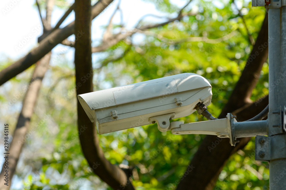 CCTV, IP Camera in public park for safety people. CCTV, IP Camera in public park for safety people.