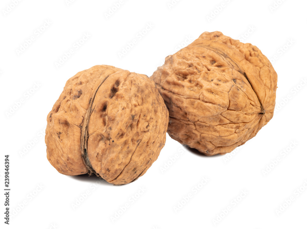 Two large walnuts Two large walnuts
