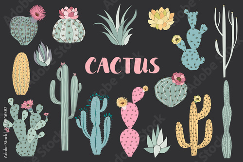 Set cactus and succulent in sketch style. Editable vector illustration