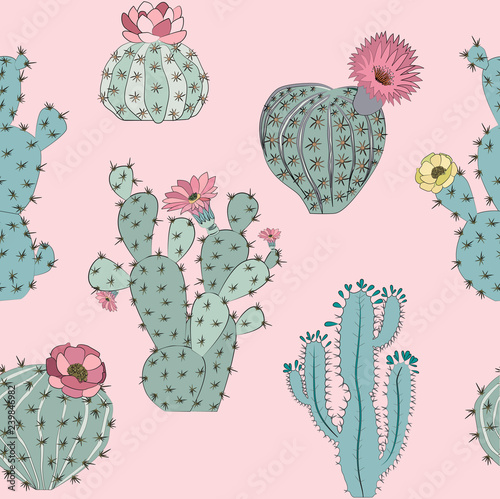 Seamless pattern with cactus and succulent in sketch style. Editable vector illustration