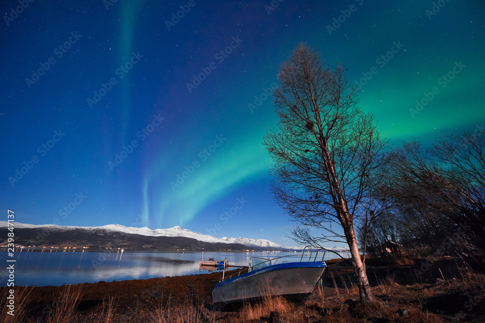 The polar arctic Northern lights aurora borealis sky star in Scandinavia Norway Tromso in the farm winter forest  