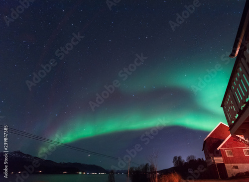 Wallpaper Mural The polar arctic Northern lights aurora borealis sky star in Scandinavia Norway Tromso in the farm winter forest   Torontodigital.ca