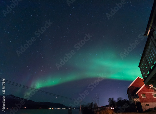 Wallpaper Mural The polar arctic Northern lights aurora borealis sky star in Scandinavia Norway Tromso in the farm winter forest   Torontodigital.ca