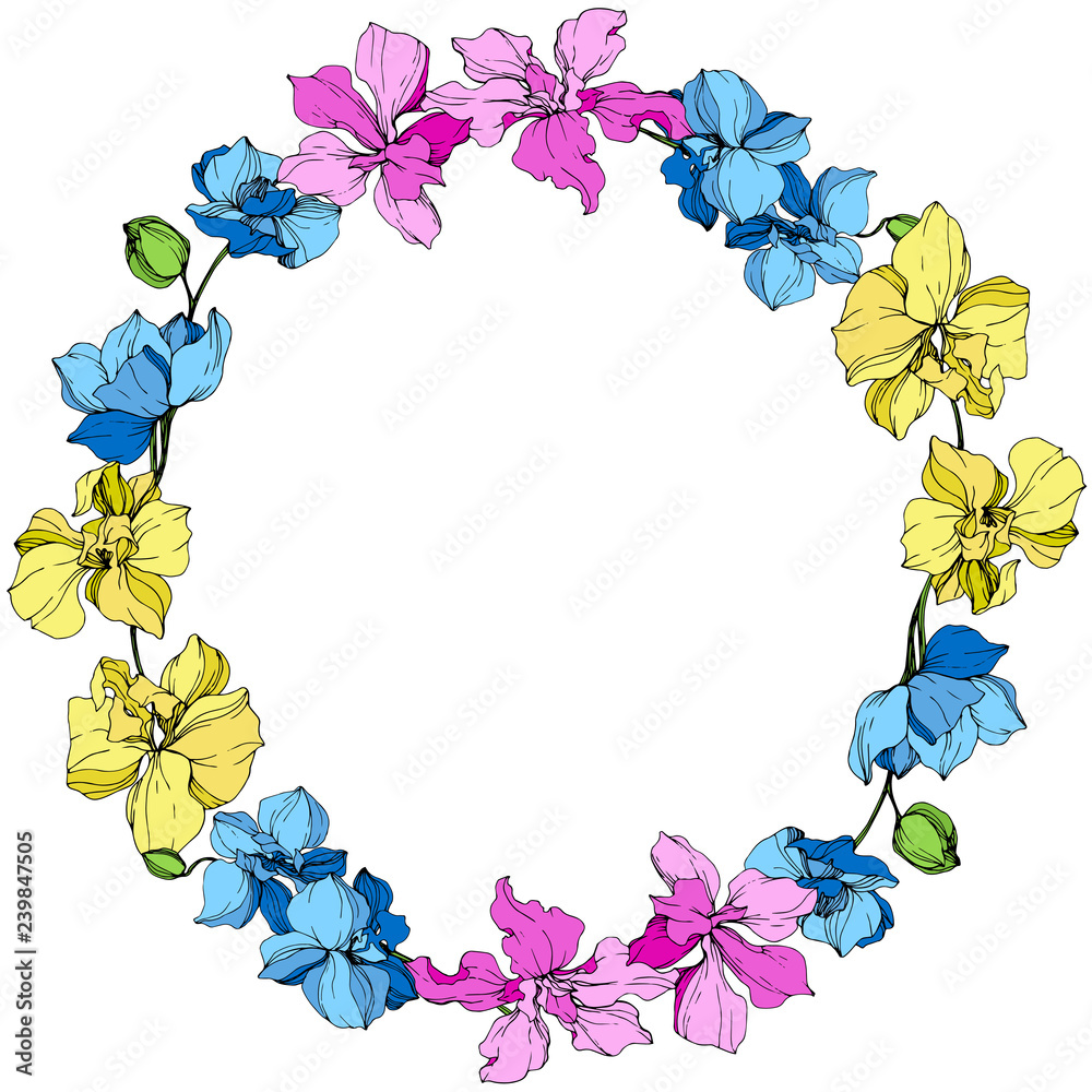 Vector. Orchid botanical flower. Yellow, blue and pink engraved ink art. Frame floral wreath.