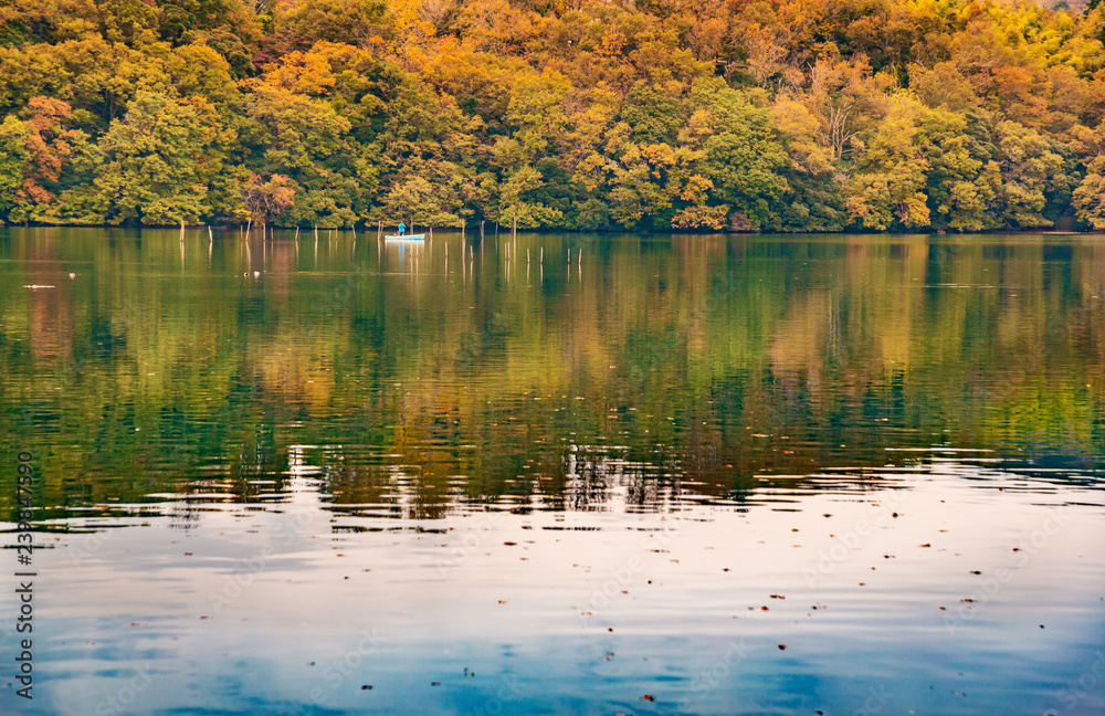 Fototapeta premium 紅葉が写り込んだ湖