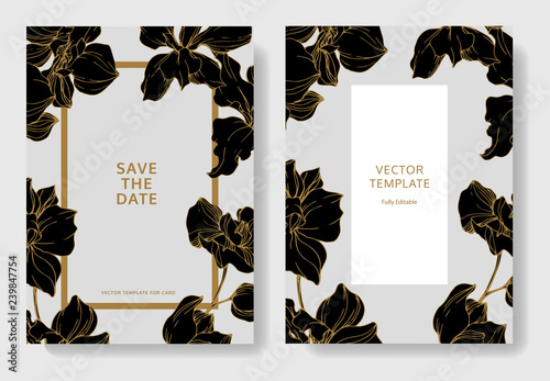 Vector. Orchid engraved ink art. Wedding background card. Thank you, rsvp, invitation elegant card illustration graphic.