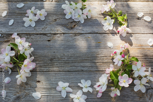 Fototapeta Naklejka Na Ścianę i Meble -  white apple flowers on old wooden background