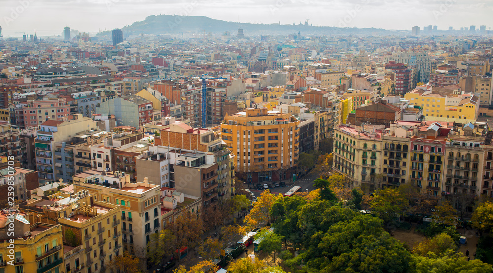 Obraz premium view of barcelona from sagrada familia
