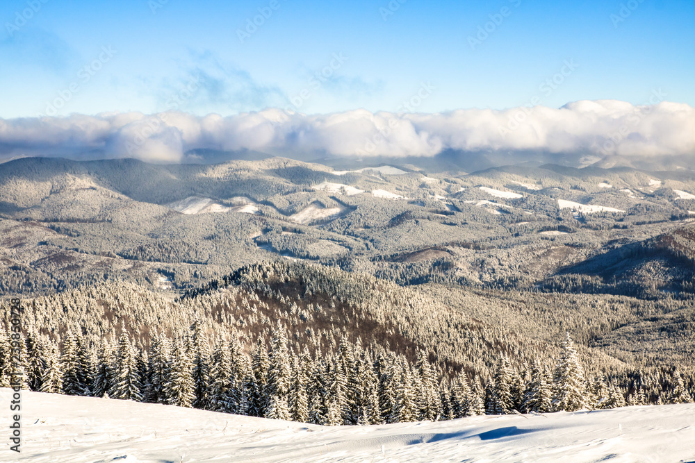 winter mountains with snowy forest, stormy clouds above horizon