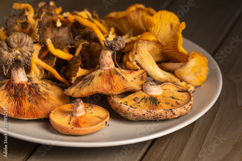 close-up view of raw wild mushrooms on a crockery dish 