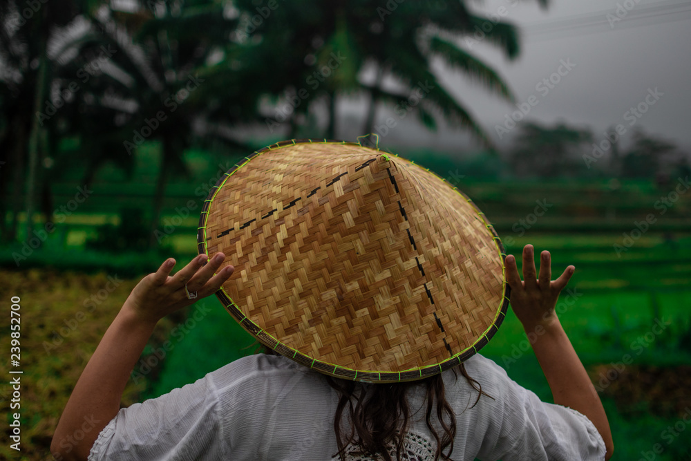 Wetland Gravere samfund Beautiful young woman in shine through dress touch asian, Vietnam rice hat.  Girl walk at typical Asian hillside with rice farming, in cascad rice field  with palm, Bali, Indonesia. Stock Photo 