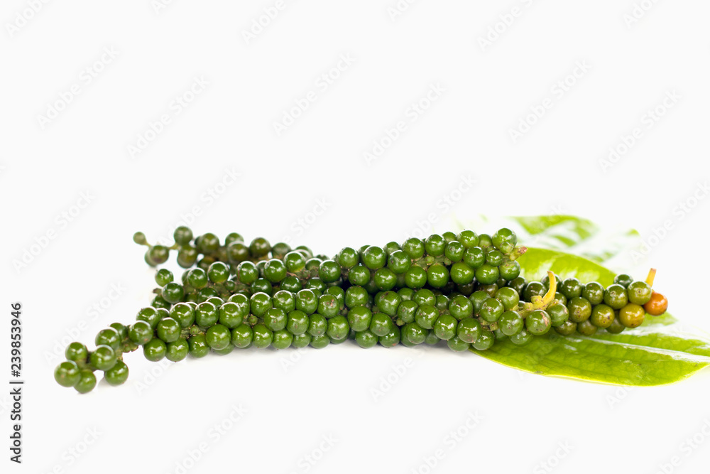 Fresh Green Peper on white background Fresh Green Peper on white background