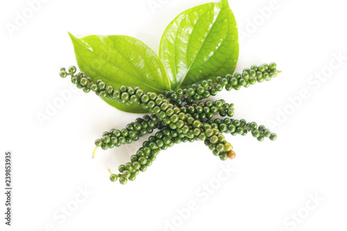 Fresh Green Peper on white background