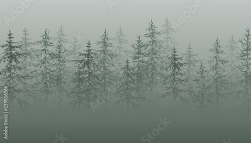  Christmas tree. Coniferous forest. Graphic trees. Misty Christmas trees. Sketch Christmas trees.
