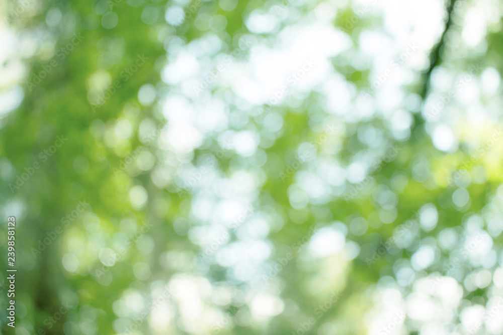 Natural green blurred abstract for background Natural green blurred abstract for background