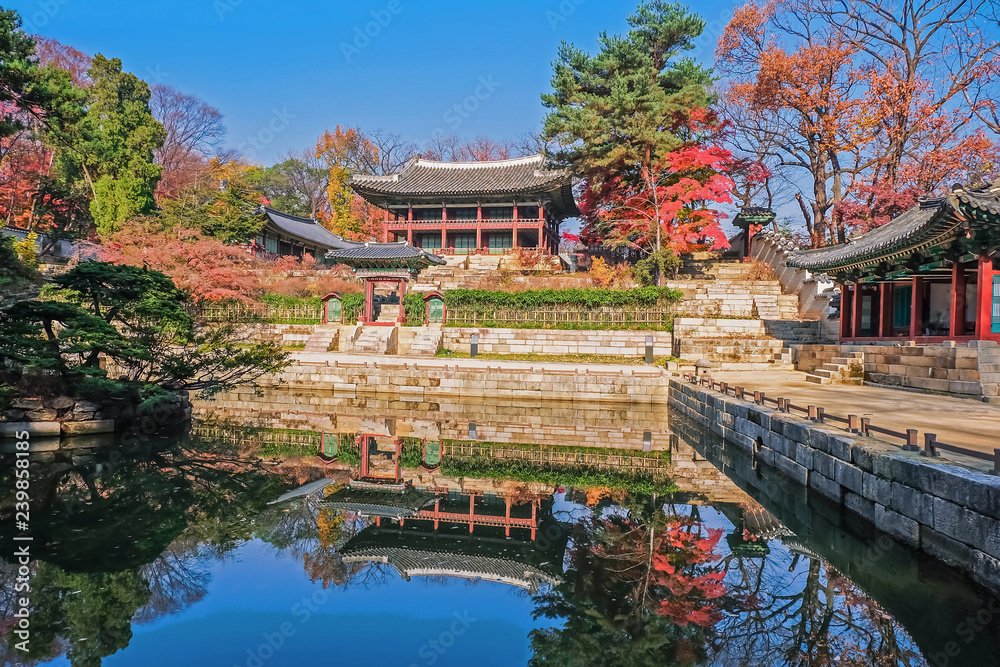 View of Juhamun Pavilion, the secret garden of Changdeokgung Palace and  reflection in the pond in Autumn season in Seoul, South Korea. Stock Photo  | Adobe Stock