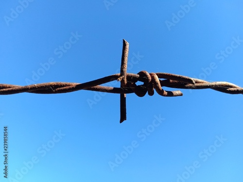 barbed wire on blue sky background