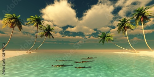 Fototapeta Naklejka Na Ścianę i Meble -  Beautiful beach with palm trees, tropical seascape,

