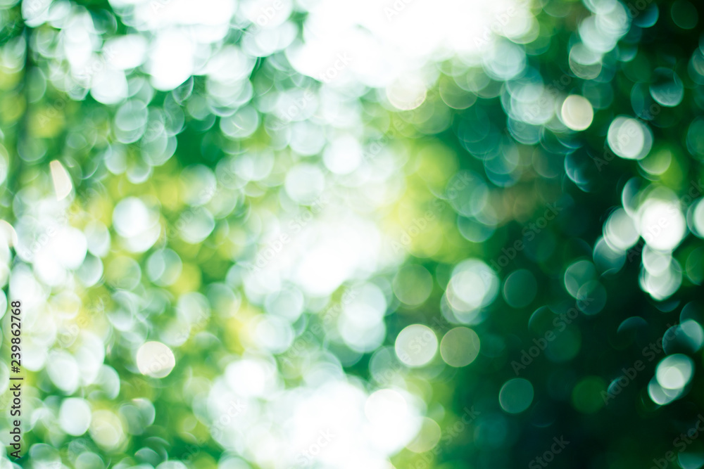 Fototapeta premium Natural green blurred abstract for background