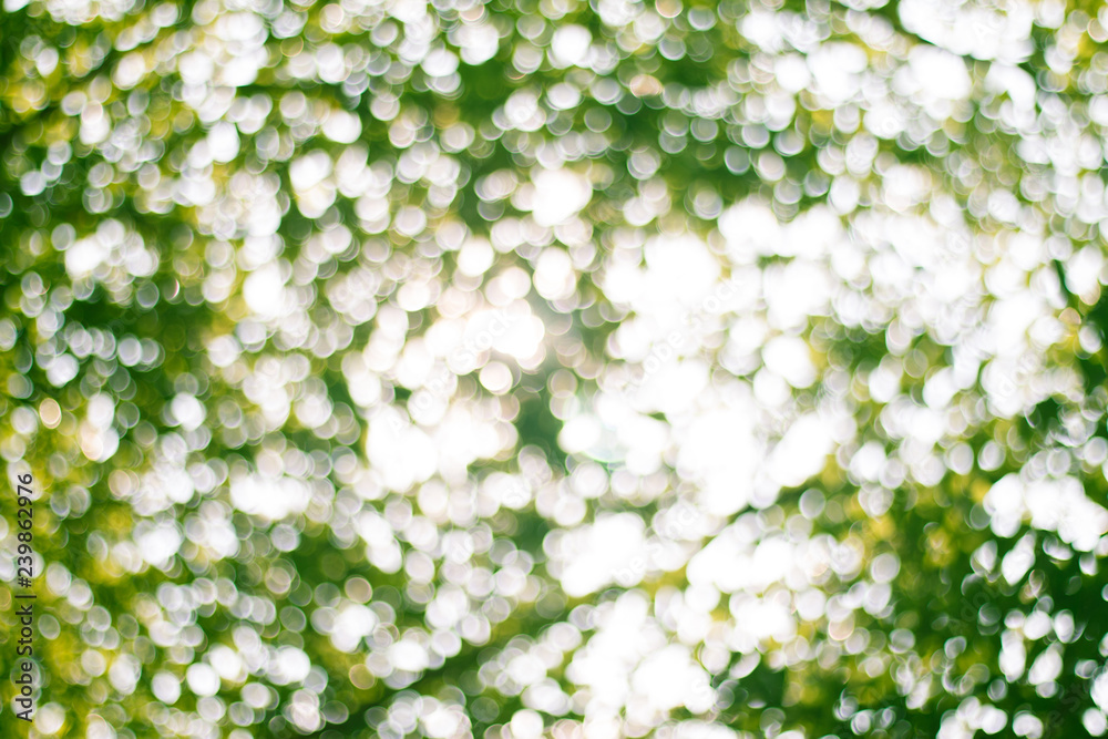 Natural green blurred abstract for background Natural green blurred abstract for background