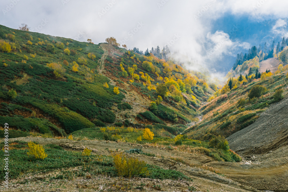 Obraz premium Autumn forest in the mountains. Colorful flora covers the slopes of the mountains. Clouds float over the colorful forest