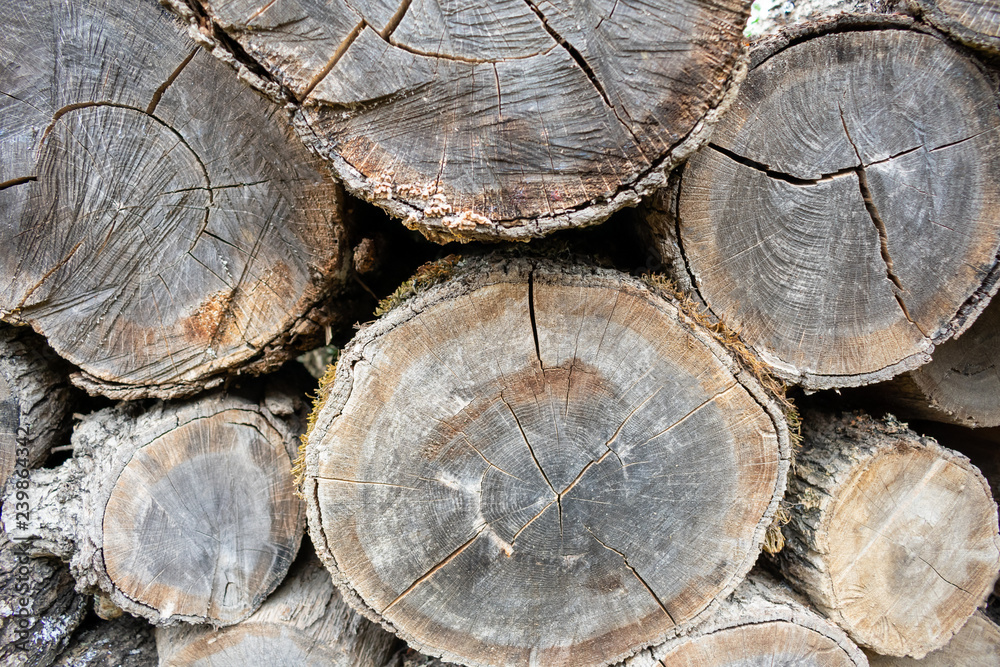 Fuel wood. Preparation for the winter. Firewood. Heating season. Winter. Heat with wood. Fuel wood. Preparation for the winter. Firewood. Heating season. Winter. Heat with wood.