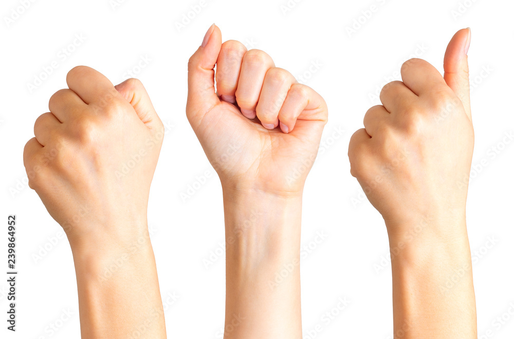 Set of woman clenched fist. Concept of unity, fight or cooperation Set of woman clenched fist. Concept of unity, fight or cooperation
