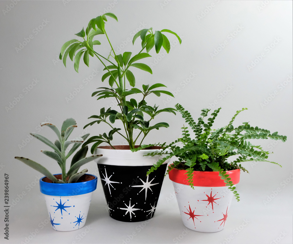 Set of three hand-painted ceramic pots using acrylic paint. Star pattern on mixed backgrounds. With plants.