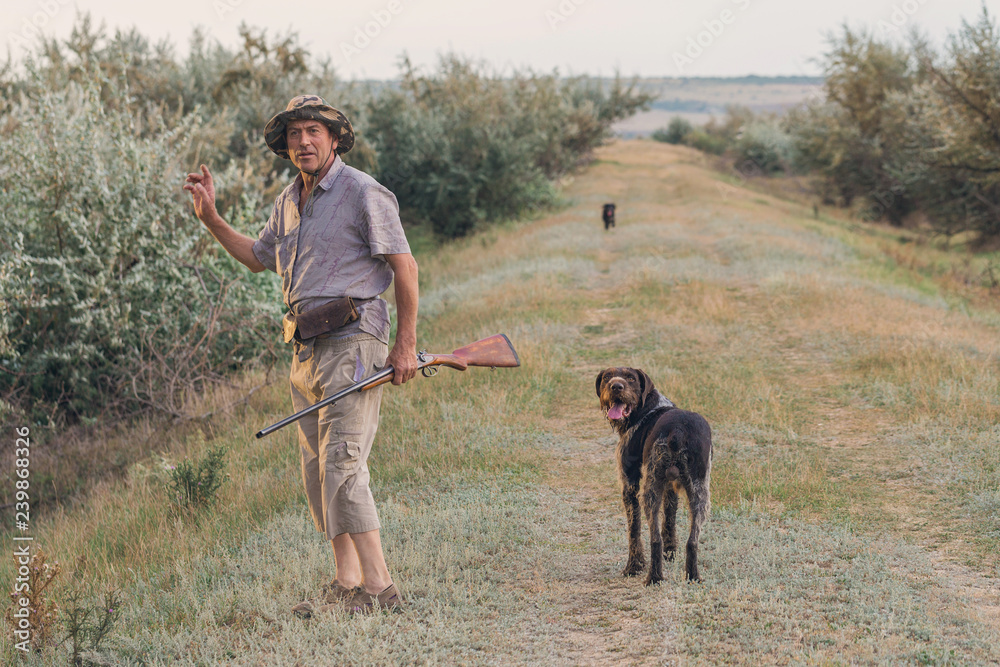 Hunters with a german drathaar and spaniel, pigeon hunting with dogs in reflective vests	