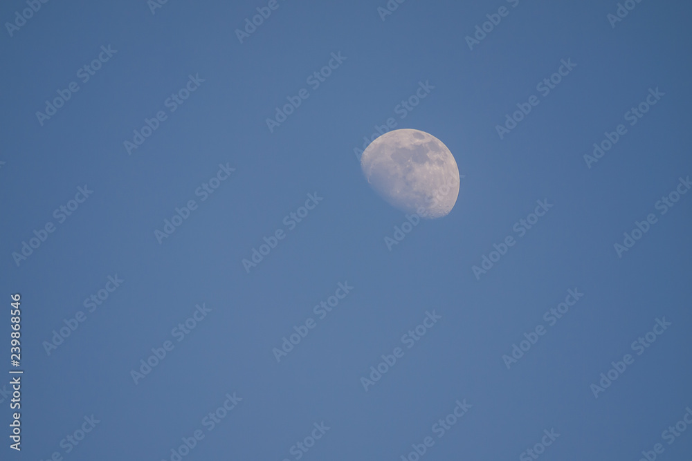 moon in evening time on beautiful natural blue sky background moon in evening time on beautiful natural blue sky background