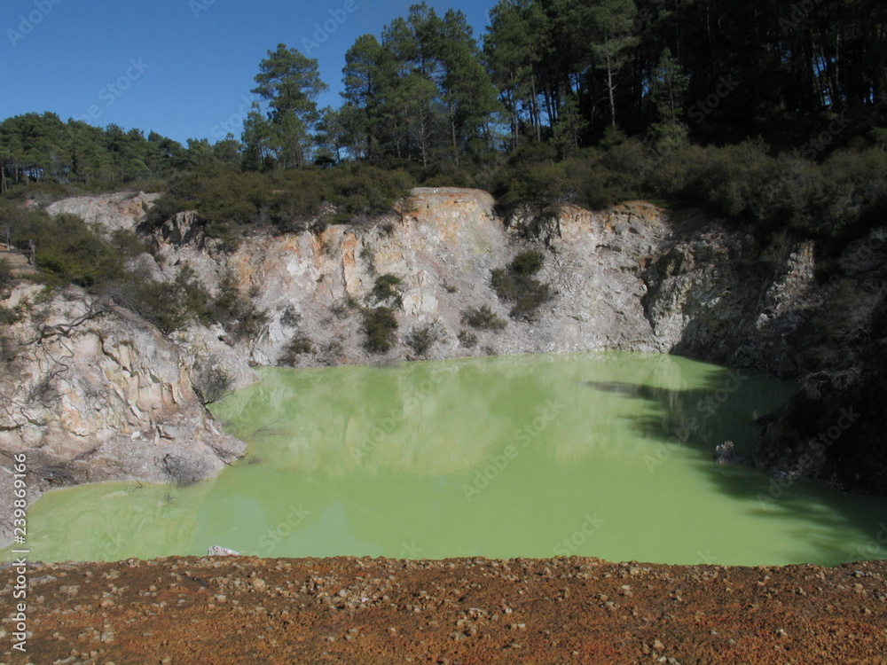 Naklejka premium New Zealand. Thermal nature in Rotorua.