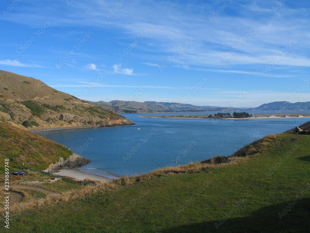 New Zealand. Nature in Taiaroa.