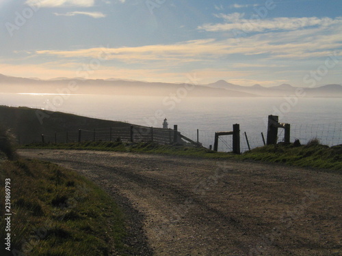 New Zealand. Nature in Taiaroa.