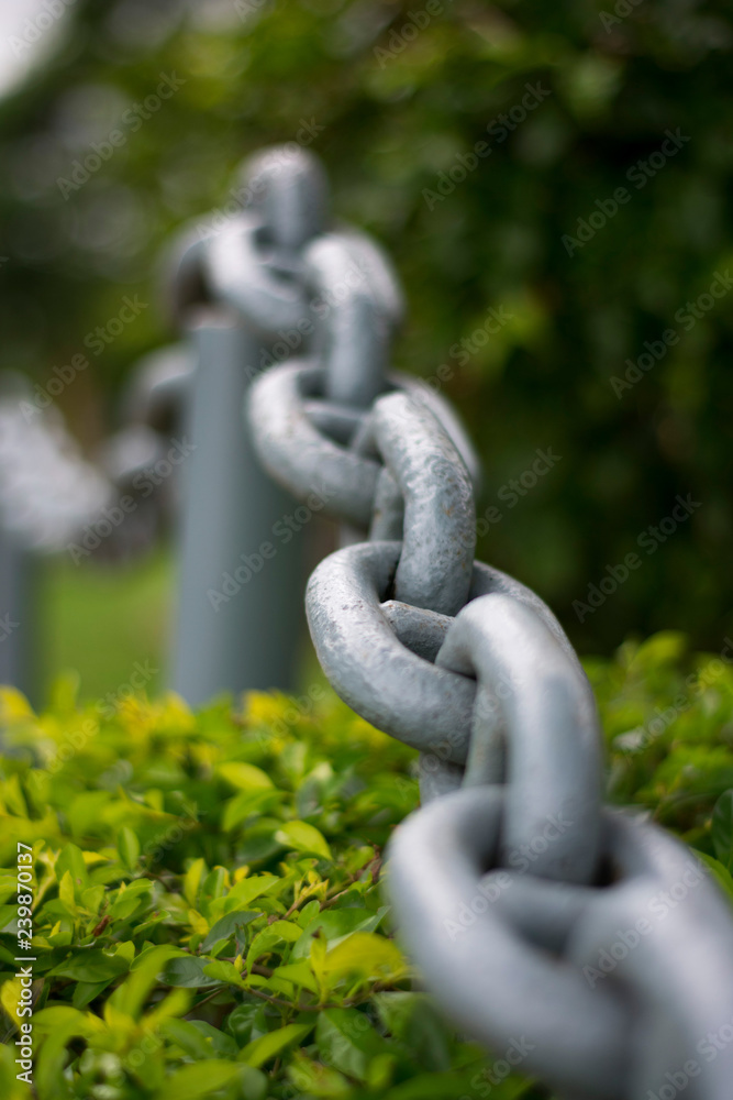 Naklejka premium big chain fence