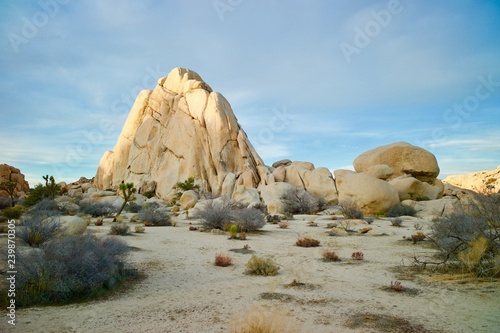 joshua Tree National Park