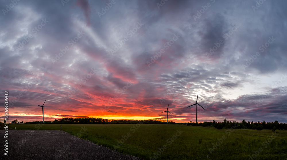 Obraz premium sunset with windmills