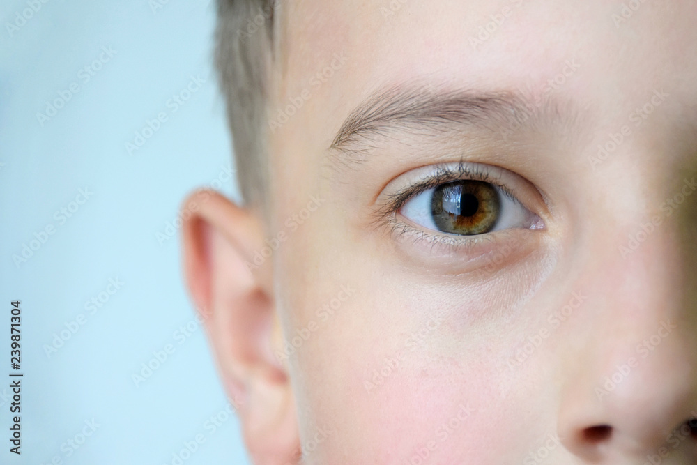 Beautiful boy eye with brown eyelashes. closeup of brown eye with pupil and  eyebrow. Kids ophthalmology. White caucasian children male face with open  eyes. Healthy eyesight. Looking forward Stock Photo | Adobe