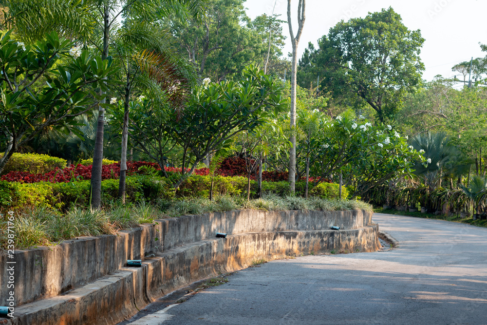 Obraz premium Promenade in a beautiful city park